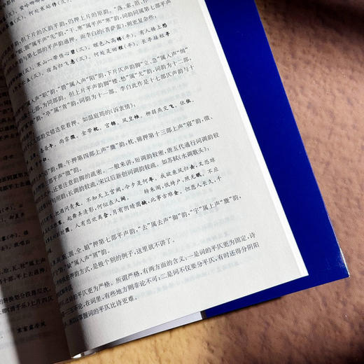 中国古代文学 第四版 徐季子 姜光斗 中国语言文学 近代文学 商品图13