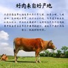 【预售3月28日发货】正宗平遥牛肉 下单现卤现切 真空锁鲜250克/袋*4袋（合计共1000克） 商品缩略图3