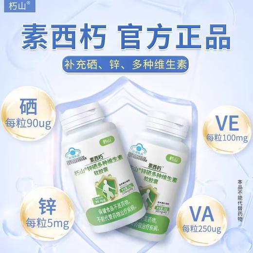 素西朽的作用与功效及主治 商品图0