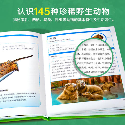 【青葫芦】神奇动物在哪里：马来西亚+亚马孙雨林 商品图6