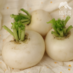 生态圆白萝卜（中通） | 合作生产*Ecological round white radish | Coproduction