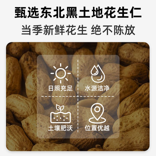 3罐特惠 颗粒花生酱原味/海盐味200g/罐  A-4005 （效期26年10月） 商品图3