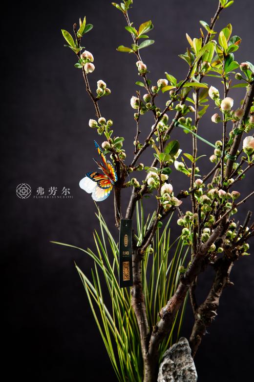 嫣红似霞 商品图1