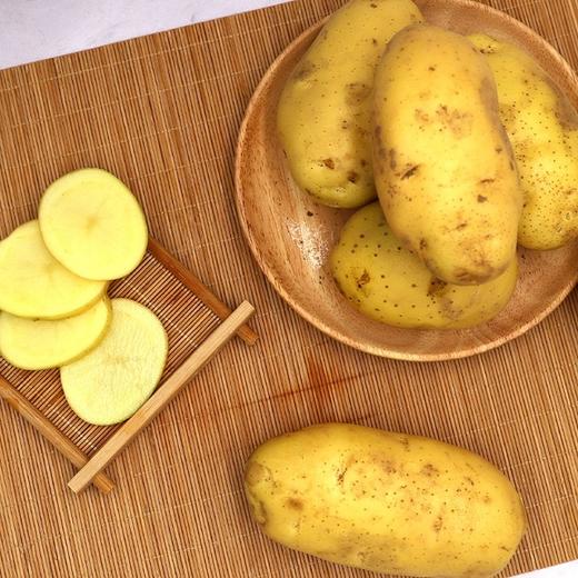 MM 山姆 黄心新土豆 2.5kg 商品图2