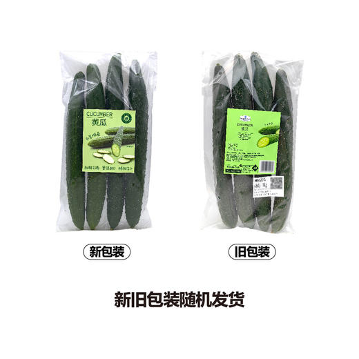 MM 山姆 黄瓜 1kg 商品图5