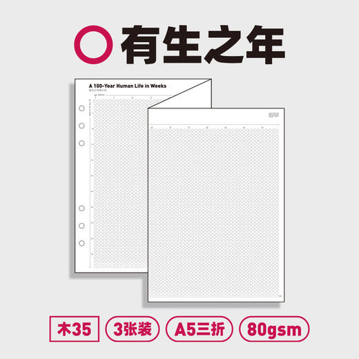 趁早活页【经典主题内芯】a5六孔活页纸可拆卸活页替芯自填日期日程本周计划21天习惯养成 商品图9