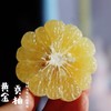 黄金贡柚 |岁末甜柑，自带铜钱币，招财进宝，百福具臻 商品缩略图5