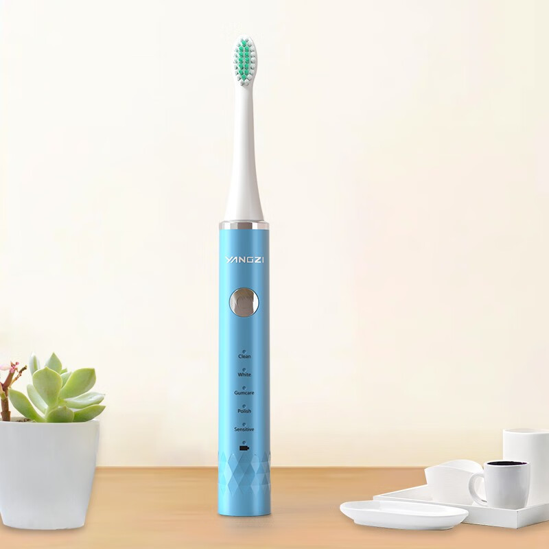 扬子电动牙刷蓝色_DFC-001