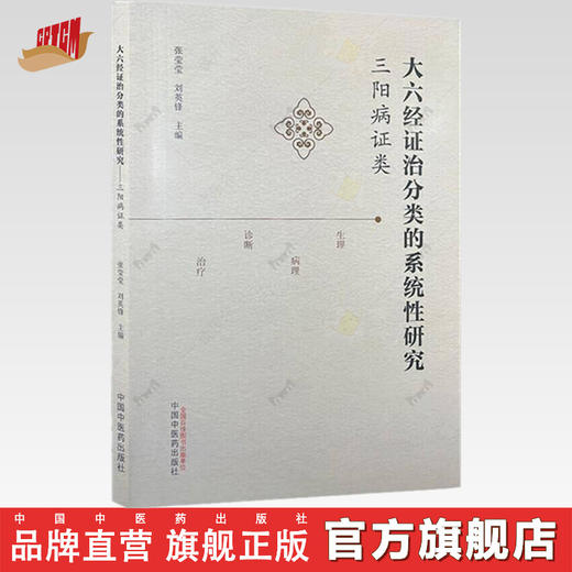 大六经证治分类的系统性研究 : 三阳病证类 张莹莹 刘英锋 主编 中国中医药出版社 商品图0