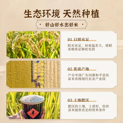 和平乐源 阿公树坝 丝苗米1号 5kg 商品图1