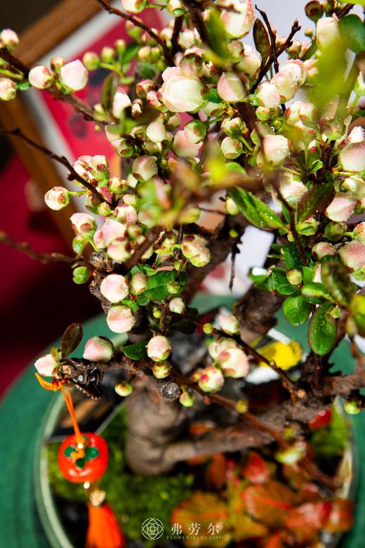 千姿百态 商品图1