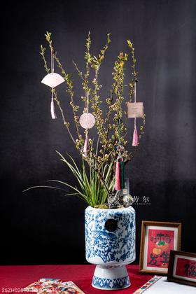 25年 年宵花 组合植物--彩玉海棠