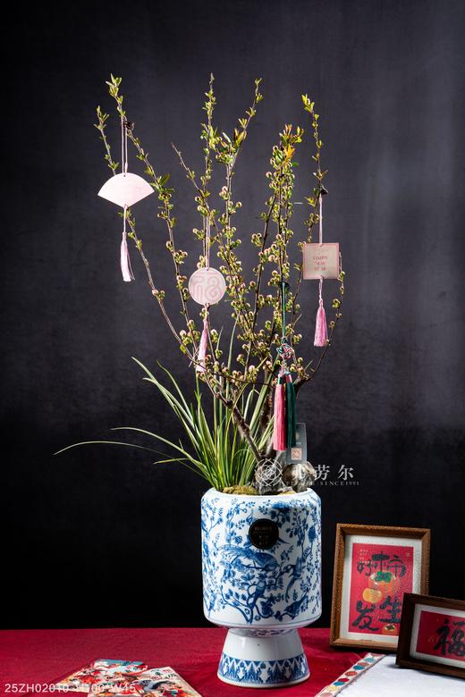 25年 年宵花 组合植物--彩玉海棠 商品图0