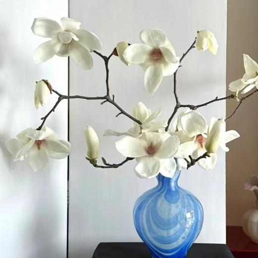 10枝 玉兰花切枝 单色随机 | 新客福利 商品图1