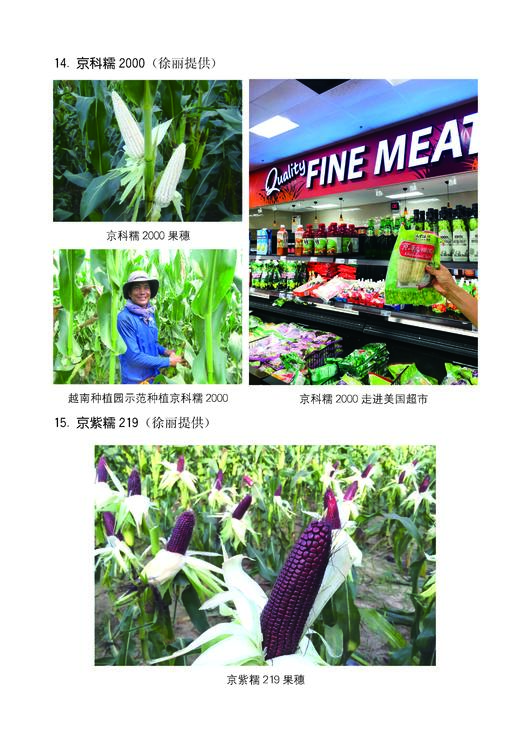 玉米生产技术大全 第二版 【官方正版，可开发票，下单时留开票信息和电子邮箱】 商品图3