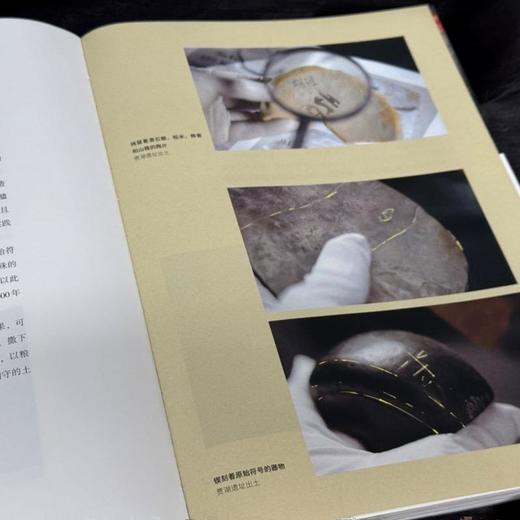 寻古中国 随机附赠书签一款  央视《寻古中国》三联书店旗舰店 商品图4