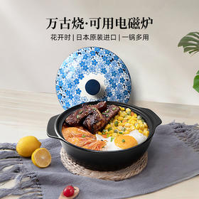 【样品特惠6.5折，无原包装】日本IH陶锅砂锅耐高温万古烧土锅3.2升（电磁炉可用）