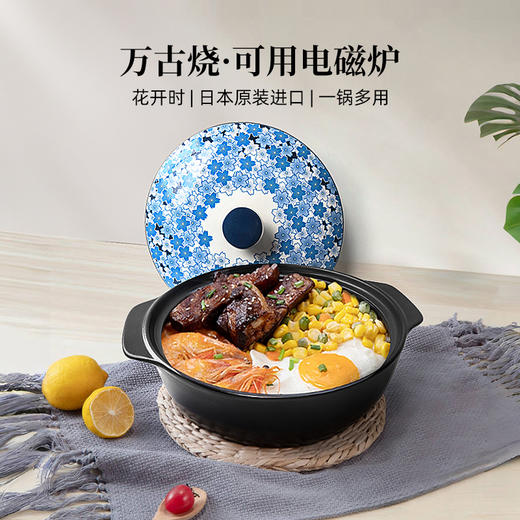 【样品特惠6.5折，无原包装】日本IH陶锅砂锅耐高温万古烧土锅3.2升（电磁炉可用） 商品图0