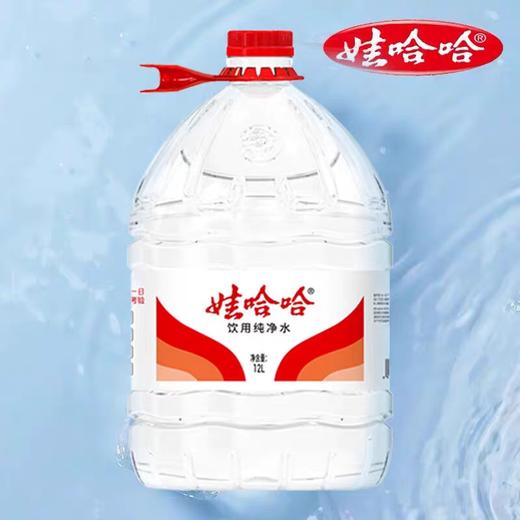 娃哈哈纯净水 12L/桶 商品图0