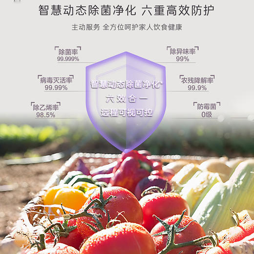 卡萨帝（Casarte）重磅新品 601升大容量家电 一级变频薄大容量零距离嵌入式节能冰箱变频卡萨帝601升十字对开门平嵌冰箱 MRA低氧养鲜 智慧动态除菌 BCD-601WGCTDM4DMU1 商品图4