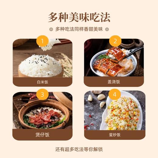 和平乐源 阿公树坝 丝苗米2.5kg 商品图3