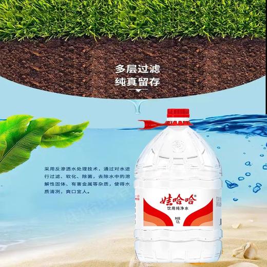 娃哈哈纯净水 12L/桶 商品图3