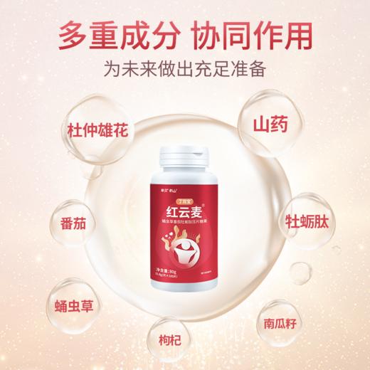 红云麦官方旗舰店】 4瓶装 番茄蛹虫草 丁双宝番双宝 单贝正品 商品图2