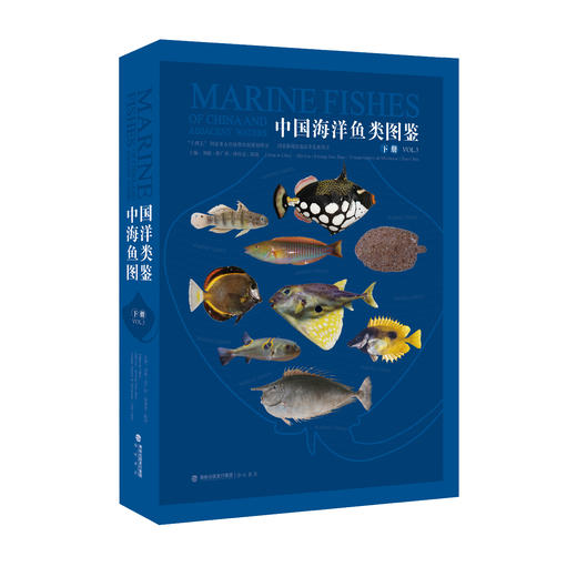 《中国海洋鱼类图鉴》（套装3册）刘敏 邵广昭 薛绮雯 陈骁 海峡书局【官方正版 48小时发货】 商品图3