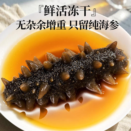 神农金康 山珍海味十拼礼盒【十全食美300克】海参鲍鱼羊肚菌 年货节礼盒礼物送父母长辈 商品图5