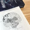 神经科学原理(英文版·原书第6版)(上下册) 商品缩略图1