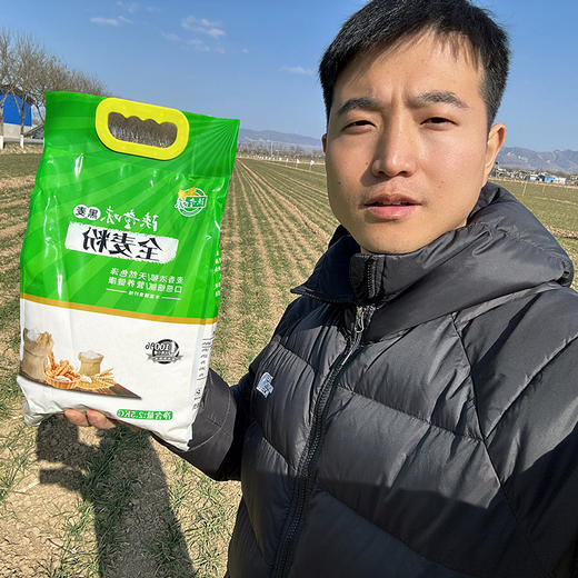 【农家黑麦粉】低脂肪，低升糖，适合糖友胖友人群，保留胚芽、麦芯，健康营养！【中筋】 商品图1