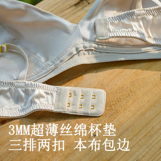 TG-TG02S245真丝超薄三角杯内衣 桑蚕丝性感蕾丝无钢圈双罩杯文胸 商品图3
