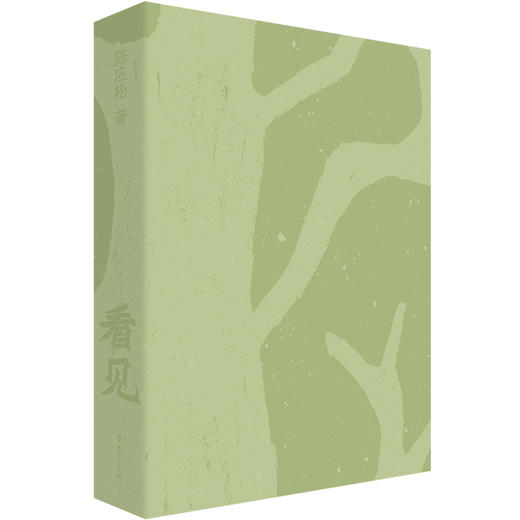 看见：一眼洞穿人性万象 中国好书奖得主陈应松新作 中国工人出版社 商品图2