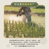 和平乐源 阿公树坝 生态丝苗米 3kg 商品缩略图5