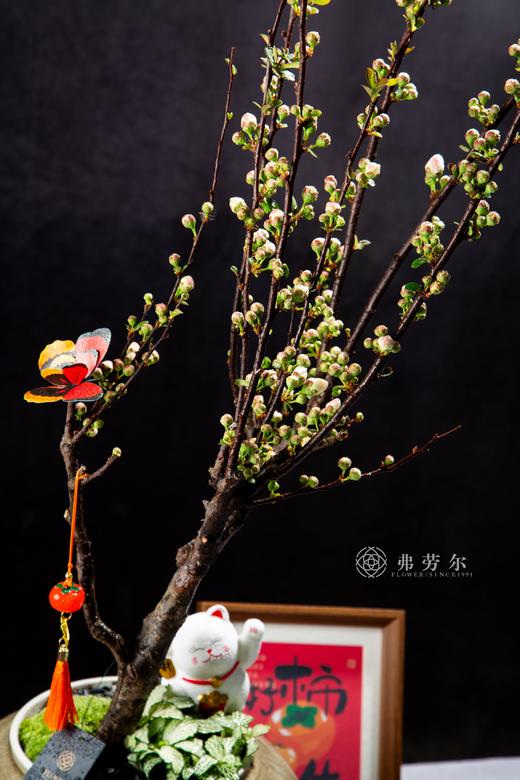 香飘四季 商品图1