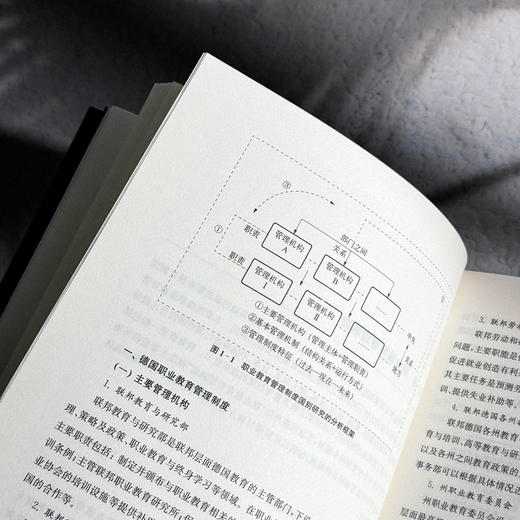 职业教育国家制度与国家政策比较研究 修订版 办学模式 商品图8