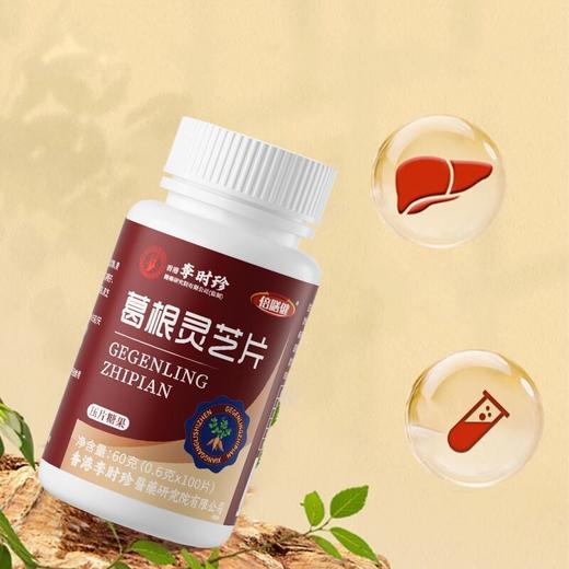 【正品保障】李时珍葛根灵芝片三瓶装甘肝片成人浓缩食用100片/瓶 商品图2