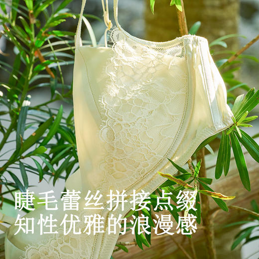 TG-TG02S245真丝超薄三角杯内衣 桑蚕丝性感蕾丝无钢圈双罩杯文胸 商品图2