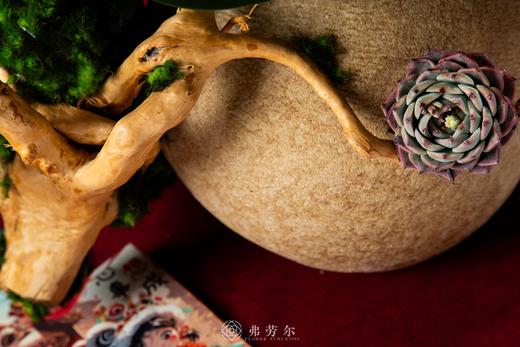 春风得意 商品图3