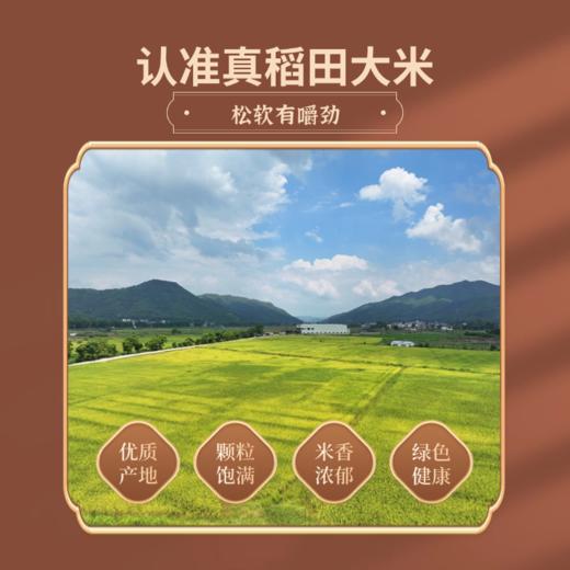 和平乐源 丝苗米1号 5kg 商品图3