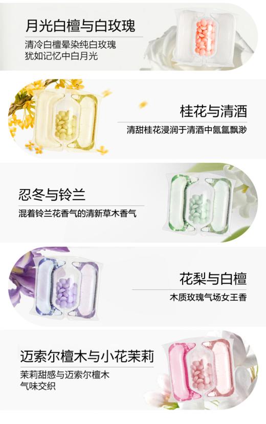 【妈咪ok专享】绽家洗衣凝珠留香珠三合一去渍留香洗衣凝珠【1:1送袋装10颗，到手33颗+1包赠品（25g留香珠/30经期洗衣液/三腔凝珠1颗/45ml除jun液，随机发1包）】 商品图3