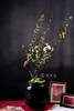 百花齐放 商品缩略图0
