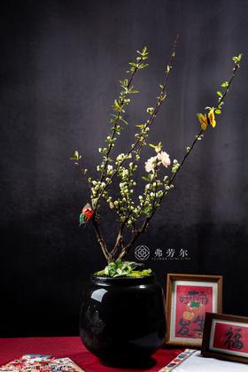 百花齐放