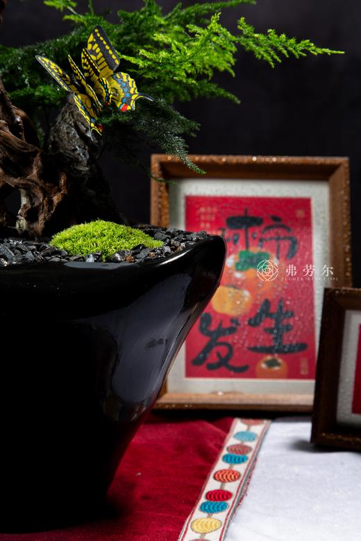 娇艳欲滴 商品图2