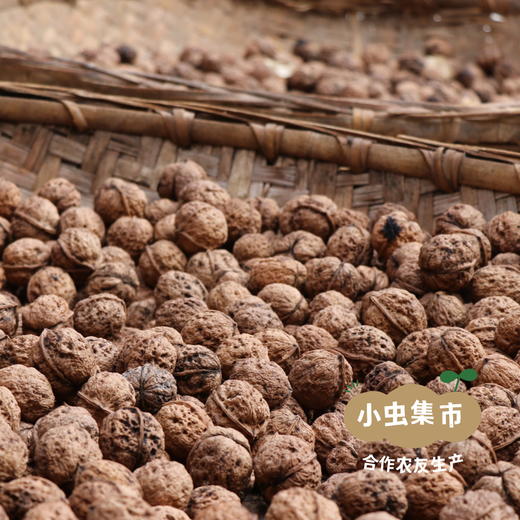 【积分享优惠】吾木野生铁核桃油 500ml | 合作农友生产，产自云南吾木村，生产者：杨凤、和绍权 ＆【公平贸易农人定价】 商品图9