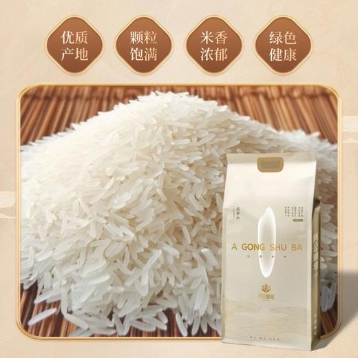 和平乐源 阿公树坝 丝苗米1号 5kg 商品图4