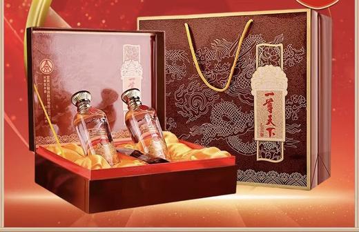 一尊天下 52度浓香型白酒500ml*2瓶 礼盒 商品图0