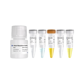 VaClick 488-EdU Cell Proliferation Test Kit