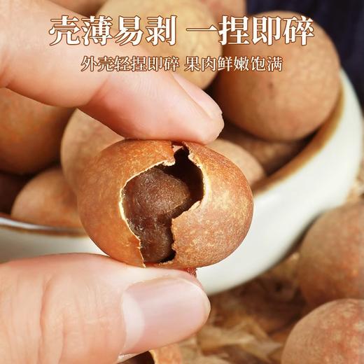 【醒粉福利14.9元4袋】【煲汤煮茶必备】桂圆干龙眼干100克*4袋 商品图2
