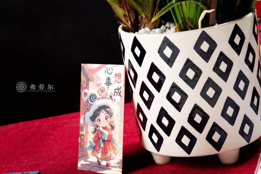 25年 年宵花 组合植物--国兰 商品图4